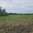  Land for sale in Liliw, Calabarzon, Liliw