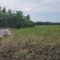  Land for sale in Liliw, Calabarzon, Liliw