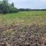  Land for sale in Liliw, Calabarzon, Liliw