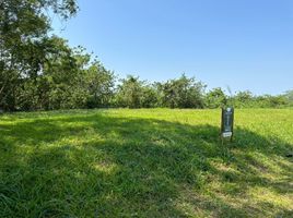  Terreno (Parcela) en venta en Calamba City, Calabarzon, Calamba City, Laguna, Calabarzon, Filipinas