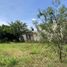 Land for sale in Del Centro, Oaxaca, Del Centro