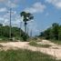  Terreno (Parcela) en venta en Cancún, Quintana Roo, Cancún