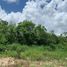  Terreno (Parcela) en venta en Cancún, Quintana Roo, Cancún