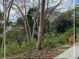  Land for sale at Terrazas De Punta Fuego, Nasugbu