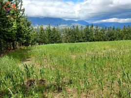  Terrain for sale in Otavalo, Otavalo, Otavalo