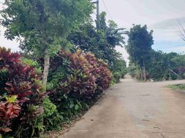  Land for sale in Cavite, Calabarzon, Silang, Cavite