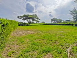  Land for sale in Palmira, Valle Del Cauca, Palmira