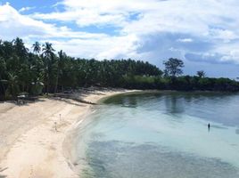 36 Schlafzimmer Hotel / Resort zu verkaufen in Cebu, Central Visayas, San Remigio