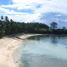36 Bedroom Hotel for sale in Cebu Central Visayas, San Remigio