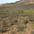 Terrain à vendre à Tecate, Baja California, Tecate, Baja California
