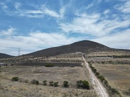  Terreno (Parcela) en venta en Huimilpan, Querétaro, Huimilpan