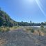  Terreno (Parcela) en venta en Chile, Entre Lagos, Osorno, Los Lagos, Chile
