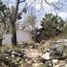  Land for sale in Tamasopo, San Luis Potosi, Tamasopo, San Luis Potosi