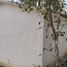  Land for sale in Tamasopo, San Luis Potosi, Tamasopo