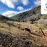  Land for sale in Cautin Araucania, Cunco, Cautin, Araucania, Chile