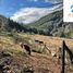 Land for sale in Cautin Araucania, Cunco, Cautin, Araucania, Chile