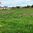  Land for sale in San Jose De Chaltura, Antonio Ante, San Jose De Chaltura