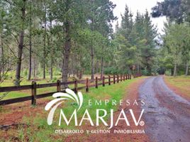  Terreno (Parcela) en venta en Chile, Pucón, Cautín, Araucanía, Chile