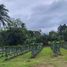  Terreno (Parcela) en venta en Alfonso, Calabarzon, Alfonso