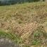  Terreno (Parcela) en venta en Antipolo City, Calabarzon, Antipolo City, Rizal