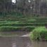  Land for sale in Nagcarlan, Calabarzon, Nagcarlan
