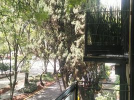 2 Schlafzimmer Villa zu verkaufen in Miguel Hidalgo, Mexico City, Miguel Hidalgo