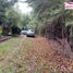  Land for sale in Nuble, San Ignacio, Diguillin, Nuble