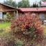  Land for sale in San Ignacio, Nuble, San Ignacio