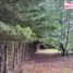  Land for sale in Nuble, San Ignacio, Diguillin, Nuble