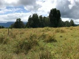  Land for sale in Araucania, Pucon, Cautin, Araucania