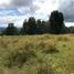  Grundstück zu verkaufen in Pucon, Araucania, Pucon, Cautin, Araucania