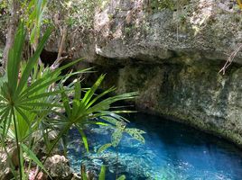 Terrain à vendre à Cozumel, Quintana Roo, Cozumel