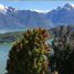  Terreno (Parcela) en venta en Chile, Rio Ibanez, General Carrera, Aisén del General Carlos Ibáñez del Campo, Chile