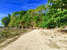  Terreno (Parcela) en venta en Initao, Misamis Oriental, Initao