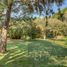 5 Habitación Casa en venta en Tepoztlan, Morelos, Tepoztlan