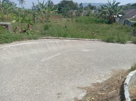  Land for rent in Ciampea, Bogor, Ciampea