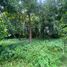  Land for sale in Cavite, Calabarzon, Alfonso, Cavite