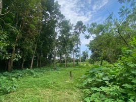  Land for sale in Cavite, Calabarzon, Alfonso, Cavite