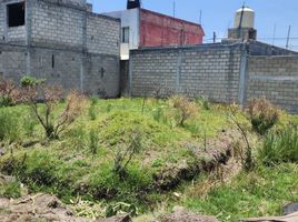  Grundstück zu verkaufen in Almoloya De Juarez, Mexico, Almoloya De Juarez