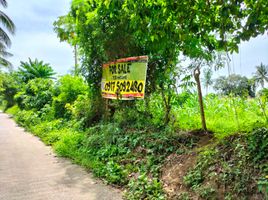  Land for sale in Tanauan City, Batangas, Tanauan City