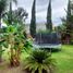 4 Schlafzimmer Haus zu verkaufen in Chiautla, Mexico, Chiautla