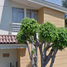 3 Habitación Villa en venta en Guadalajara, Jalisco, Guadalajara, Jalisco
