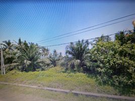  Land for sale in Kuala Selangor, Selangor, Api-Api, Kuala Selangor