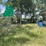  Terreno (Parcela) en venta en Cebu City, Central Visayas, Cebu City, Cebu, Central Visayas, Filipinas