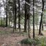  Terreno (Parcela) en venta en Araucanía, Villarrica, Cautín, Araucanía
