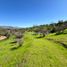  Land for sale in Melipilla, Santiago, Curacavi, Melipilla