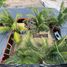 9 Bedroom House for sale in Morong, Central Luzon, Morong, Bataan