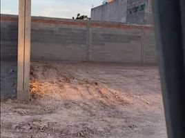  Land for rent in San Luis Potosi, San Luis Potosi, San Luis Potosi, San Luis Potosi