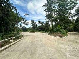  Land for sale in Cavite, Calabarzon, Alfonso, Cavite