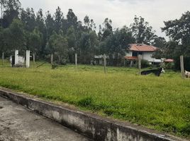  Land for sale in Conocoto, Pichincha, Conocoto
